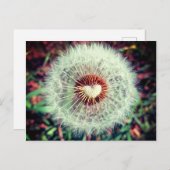 Löwenzahn Briefkaart (Voorkant / Achterkant)