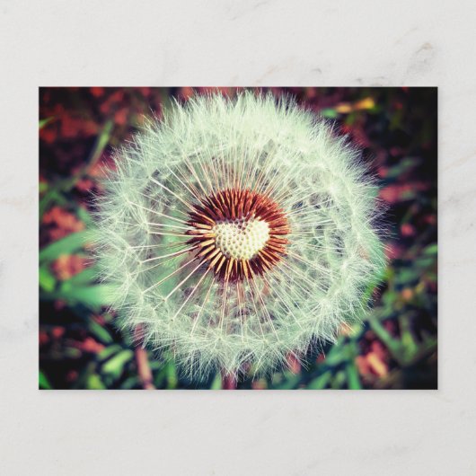 Löwenzahn Briefkaart (Voorkant)