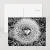Löwenzahn Briefkaart (Voorkant / Achterkant)