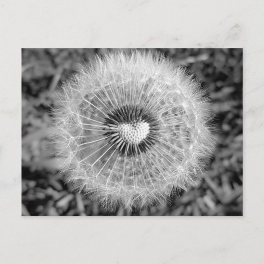 Löwenzahn Briefkaart (Voorkant)