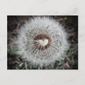 Löwenzahn Briefkaart (Voorkant)
