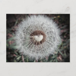 Löwenzahn Briefkaart