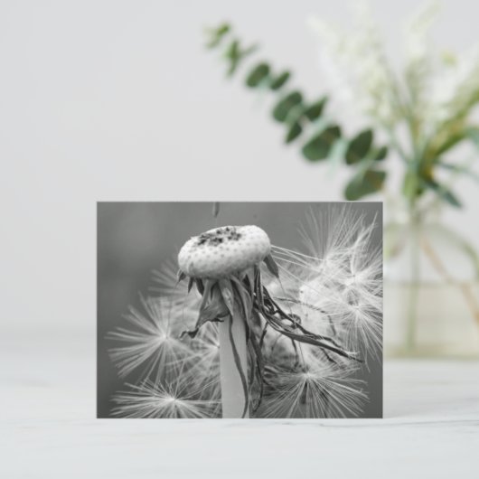 Löwenzahn Briefkaart (Staand voorkant)