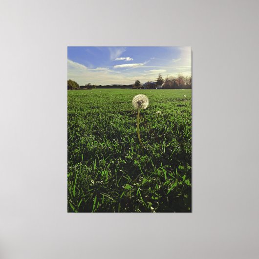 Löwenzahn Canvas Afdruk (Voorkant)