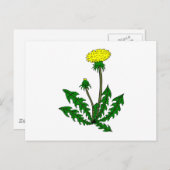 Löwenzahn dandelion briefkaart (Voorkant / Achterkant)
