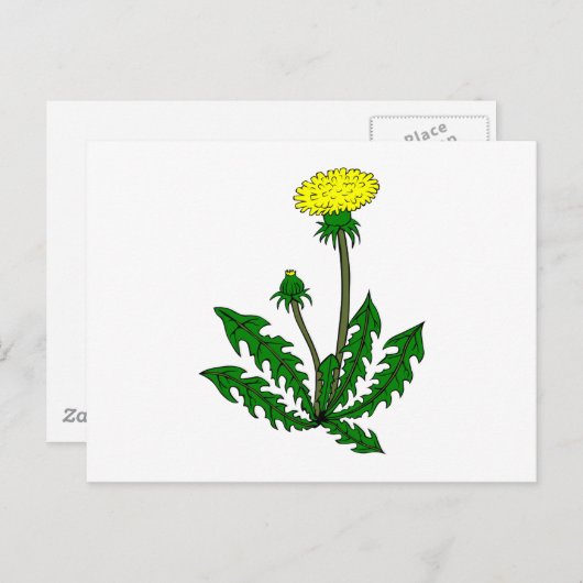 Löwenzahn dandelion briefkaart (Voorkant / Achterkant)
