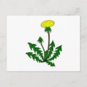 Löwenzahn dandelion briefkaart (Voorkant)