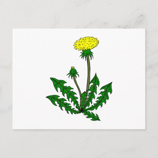 Löwenzahn dandelion briefkaart (Voorkant)