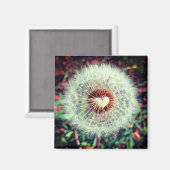 Löwenzahn Magneet (Voorkant / Achterkant)