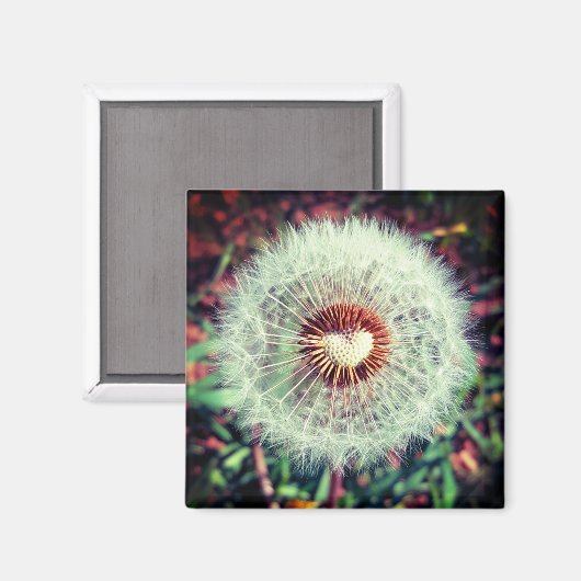 Löwenzahn Magneet (Voorkant / Achterkant)