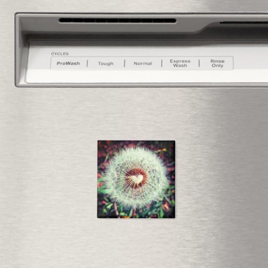 Löwenzahn Magneet (Insitu (Vaatwasser))