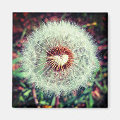 Löwenzahn Magneet (Voorkant)