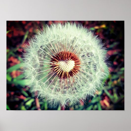 Löwenzahn Poster (Voorkant)