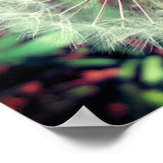 Löwenzahn Poster (Hoek)