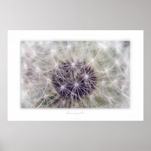 Löwenzahn Poster (Voorkant)