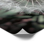 Löwenzahn Poster (Hoek)