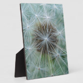 Löwenzahnmuster Fotoplaat (Zijkant)