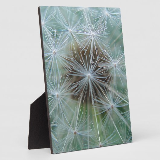 Löwenzahnmuster Fotoplaat (Zijkant)