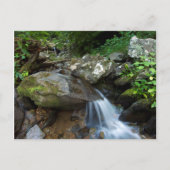 Lower Dark Hollow Falls, Shenandoah Briefkaart (Voorkant)