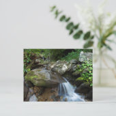 Lower Dark Hollow Falls, Shenandoah Briefkaart (Staand voorkant)