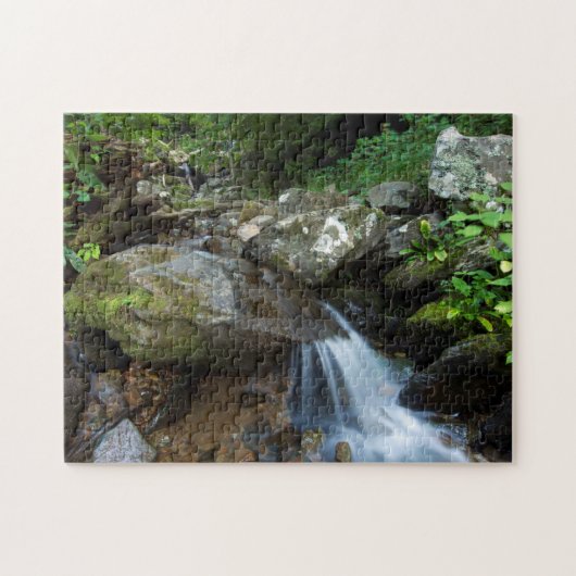 Lower Dark Hollow Falls, Shenandoah Legpuzzel (Horizontaal)