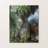 Lower Dark Hollow Falls, Shenandoah Legpuzzel (Verticaal)