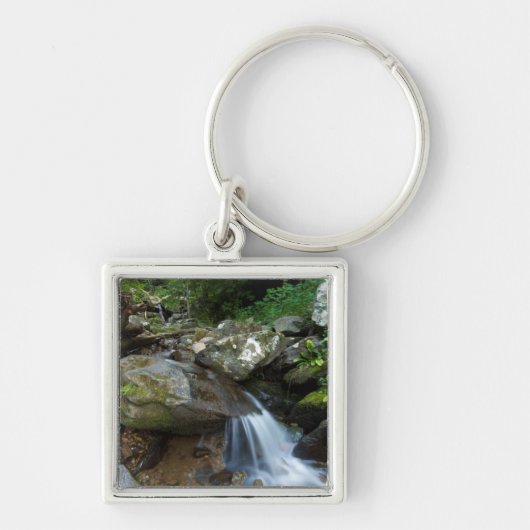 Lower Dark Hollow Falls, Shenandoah Sleutelhanger (Voorkant)