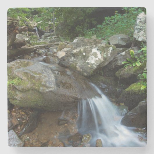 Lower Dark Hollow Falls, Shenandoah Stenen Onderzetter (Voorkant)