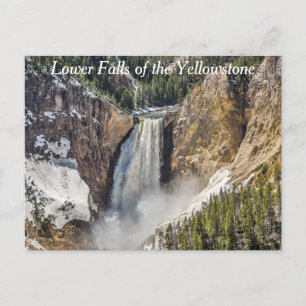 Lower Falls of the Yellowstone Briefkaart