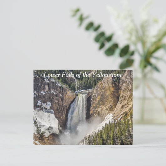Lower Falls of the Yellowstone Briefkaart (Staand voorkant)