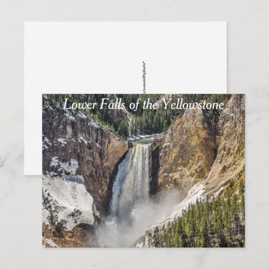 Lower Falls of the Yellowstone Briefkaart (Voorkant / Achterkant)