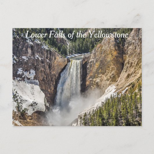 Lower Falls of the Yellowstone Briefkaart (Voorkant)