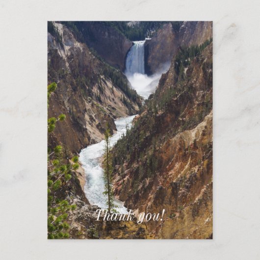 Lower Falls Yellowstone Briefkaart (Voorkant)