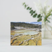 Lower Minerva Terrace, Yellowstone National Park Briefkaart (Staand voorkant)