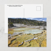 Lower Minerva Terrace, Yellowstone National Park Briefkaart (Voorkant / Achterkant)
