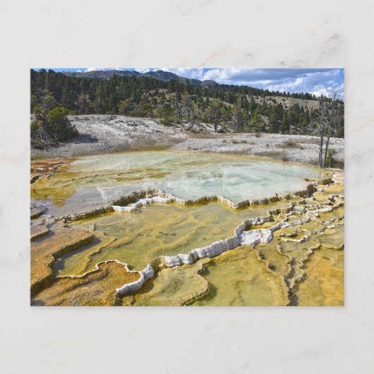 Lower Minerva Terrace, Yellowstone National Park Briefkaart (Voorkant)