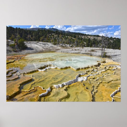 Lower Minerva Terrace, Yellowstone National Park Poster (Voorkant)