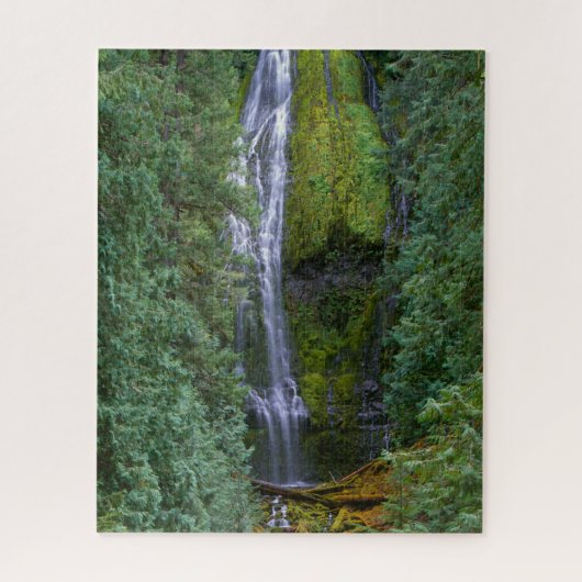Lower Proxy Falls | Willamette National Forest Legpuzzel (Verticaal)