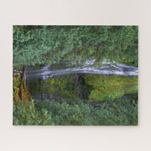 Lower Proxy Falls | Willamette National Forest Legpuzzel (Horizontaal)