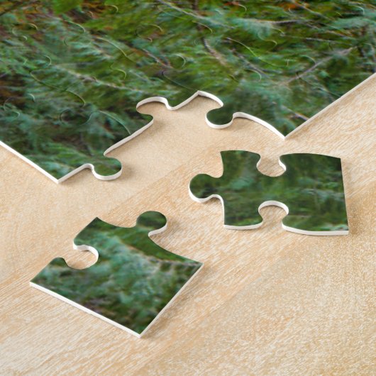Lower Proxy Falls | Willamette National Forest Legpuzzel (Zijkant)