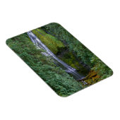 Lower Proxy Falls | Willamette National Forest Magneet (Rechterzijde)