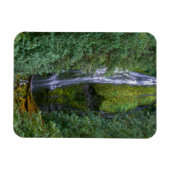 Lower Proxy Falls | Willamette National Forest Magneet (Horizontaal)