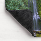 Lower Proxy Falls | Willamette National Forest Muismat (Hoek)