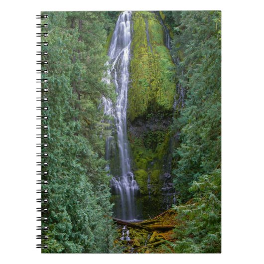 Lower Proxy Falls | Willamette National Forest Notitieboek (Voorkant)