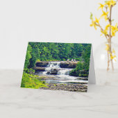 Lower Tahquamenon Herfsten State Park, MI Verjaard Kaart (Gele Bloem)