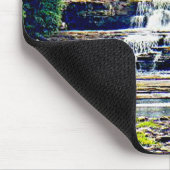 Lower Tahquamenon Herfsten State Park, Michigan Muismat (Hoek)