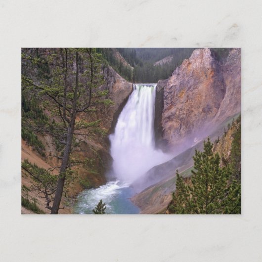 Lower Yellowstone Falls, Grand Canyon van Briefkaart (Voorkant)