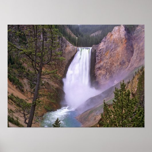 Lower Yellowstone Falls, Grand Canyon van Poster (Voorkant)