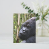 Lowland Gorilla Briefkaart (Staand voorkant)