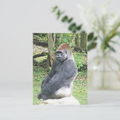 Lowland Gorilla in Sitting Pose Briefkaart (Staand voorkant)